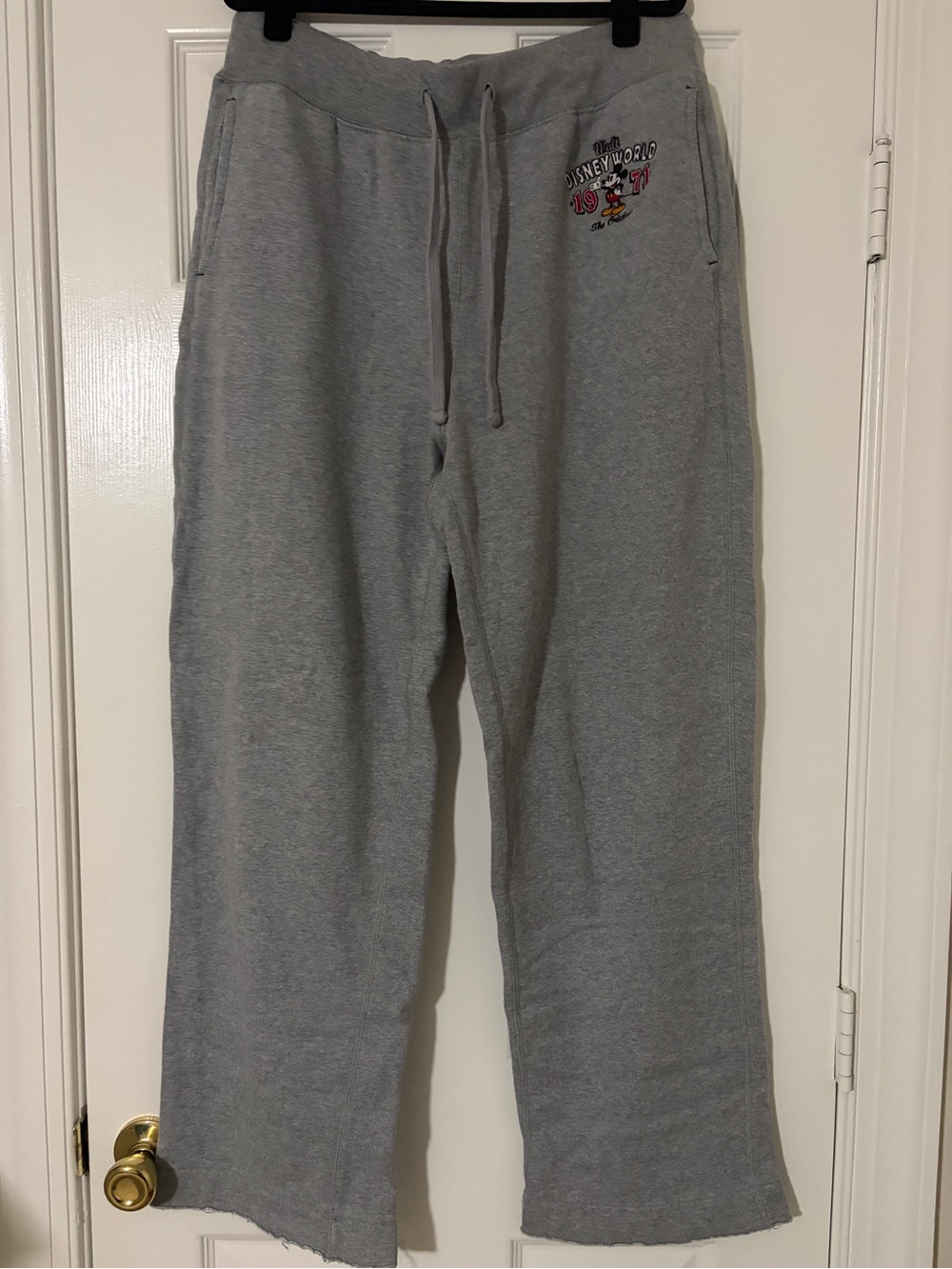 Walt Disney World Parks Gray Men's Sweatpants